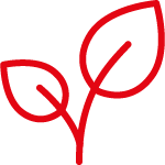 Coppola Foods - Approach | Plant Based